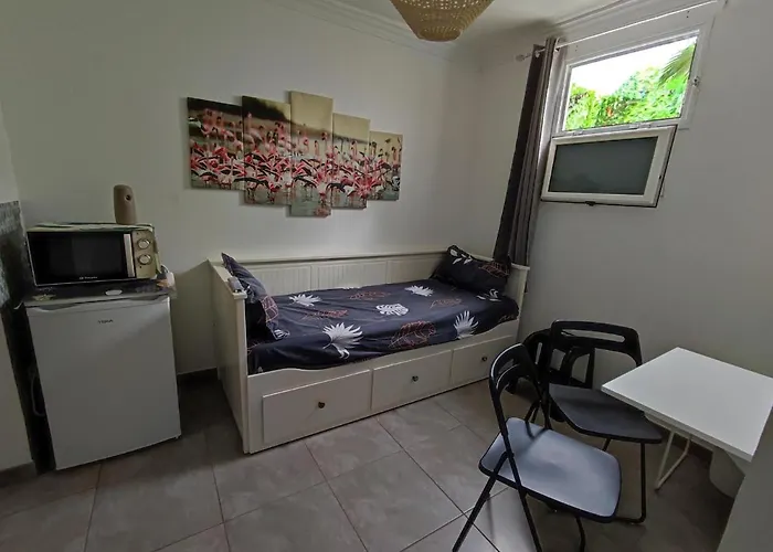 Flamingo Suite With Terrace And Private Bath By Flamingo House
