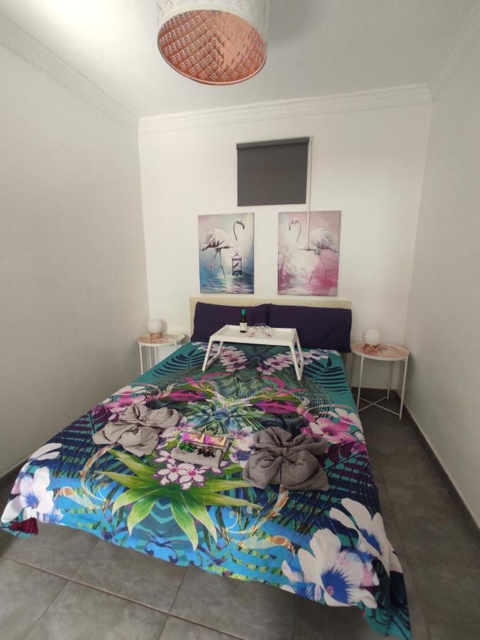 Apartment Flamingo With Terrace And Private Bath By Flamingo House Arrecife (Lanzarote)