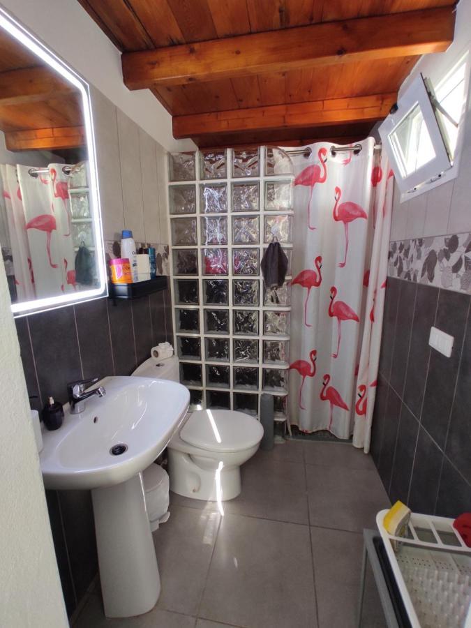 Flamingo With Terrace And Private Bath By Flamingo House Apartament *
